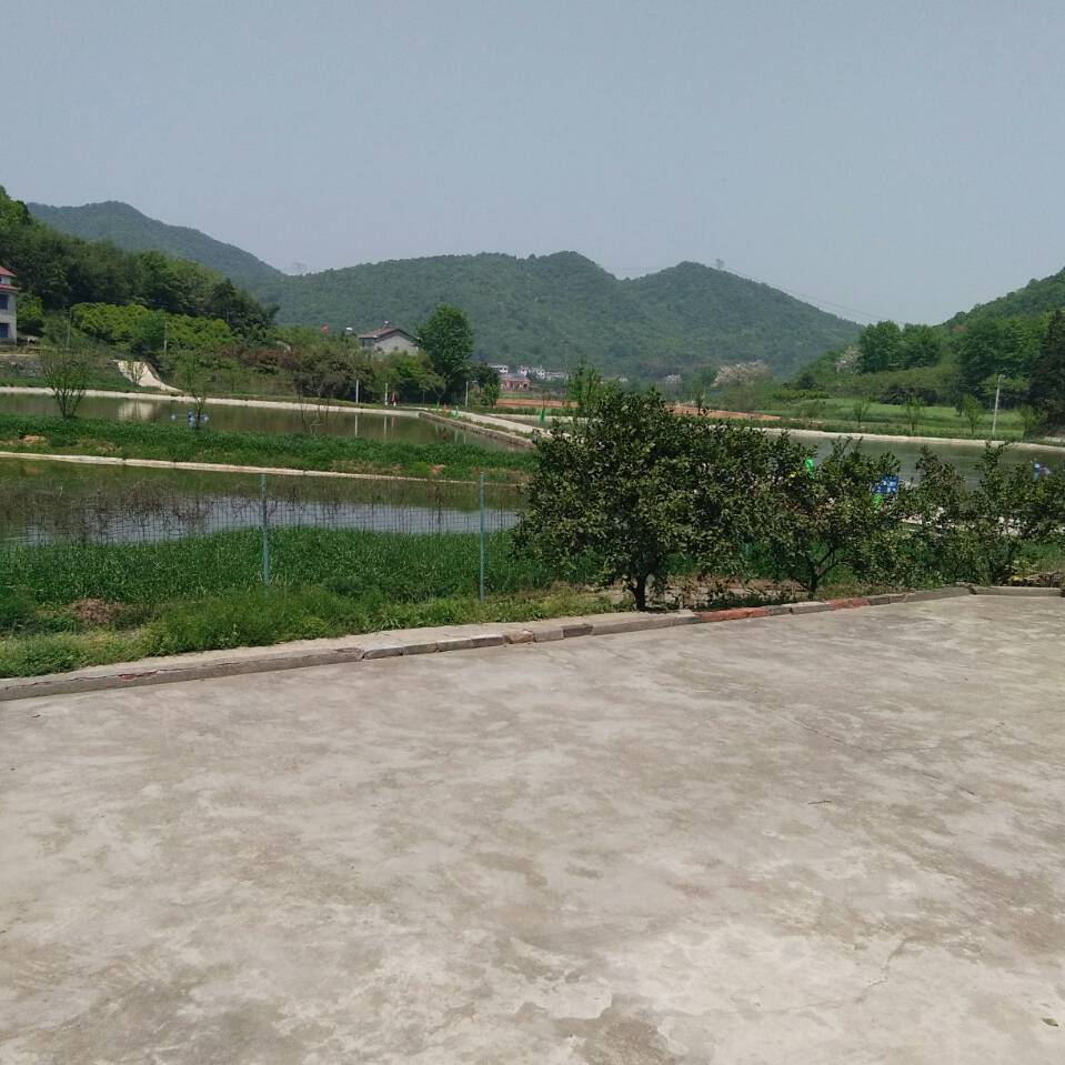 道场